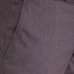 Park Avenue Violet Regular Fit Trousers image 5