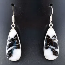 AAR Jewels Rhodium-Plated German Silver Onyx Drop Earrings-image-48