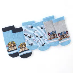 Cute Walk by Babyhug Cotton Blend Ankle Length Anti Bacterial Socks Paw Patrol Design Pack of 3 - Blue-picture-19