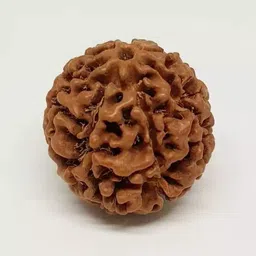 beautum 7 MUKHI NATURAL ORIGINAL NEPALI RUDRAKSHA FOR MEN AND WOMEN Wood Pendant image 3
