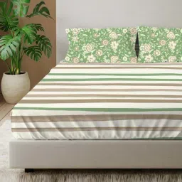 Urban Space Peach Pink Stripes Double Bed Sheets Sets With Pillow Covers-image-0