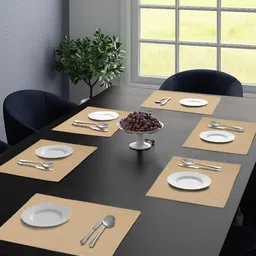 Saral Home 6Pcs Beige Textured Table Placemats image 1