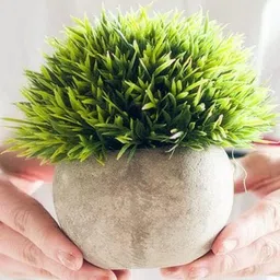 Dekorly Green Plastic Artificial Flowers & Plants With Pot image 2