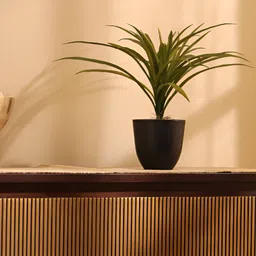 Elemntl Green & Black Dracaena Artificial Grass Plant With Pot image 5