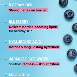 DOT & KEY Set Of 2 Barrier Repair Ceramides & Hyaluronic Moisturizer - 175g Each image 5