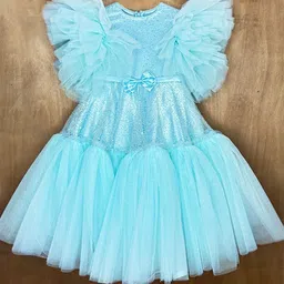 Alyaansh Couture Girls Embellished Flutter Sleeve Net Fit & Flare Dress-picture-34