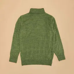 Pantaloons Junior Boys Forest Shade Self Full Sleeves Sweaters & Cardigans image 4