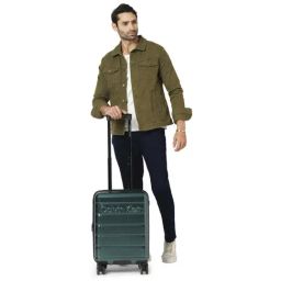 Calvin Klein Ridge-Line Pearlized Sage Textured Hard Cabin Trolley Bag - 54 cm-picture-44