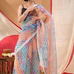 DESH BIDESH Checked Lightweight Organza Saree-picture-10