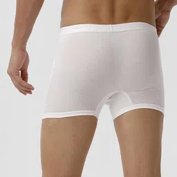 Ramraj Pack Of 4 Cotton Short Trunks TARGET_WHGWBKGM-4P image 2