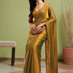 SILKWEAR Beads and Stones Border Saree-picture-15