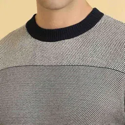 Allen Solly Men Printed Pullover image 4