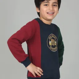 Cantabil Boy's Navy Blue Color Block Round Neck Full Sleeves Casual Sweatshirt image 4