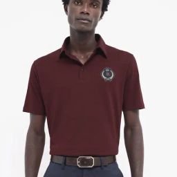 Rare Rabbit Brown Regular Fit Solid Polo T-Shirt-picture-22