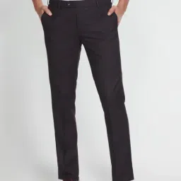 Arrow Wine Regular Fit Texture Trousers-picture-15