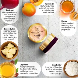 TNW The Natural Wash Herbal Beetroot Lip Balm With SPF 15 For Dry & Soft Lips - Non Sticky image 3