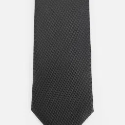 Van Heusen Grey Polyester Embroidered Tie image 4