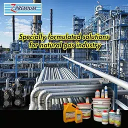 Z Premium Transmission Oil 5 L, 0815ZVMP3JB image 2