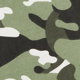 Kappa Boys Multi Cotton Printed Shorts image 4