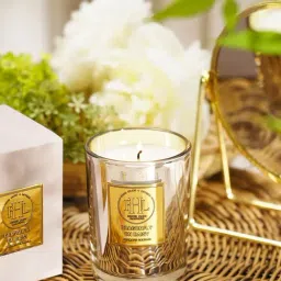 Pure Home and Living Silver Dragonfly On Daisy Scented Wax Filled Jar Candle-picture-11