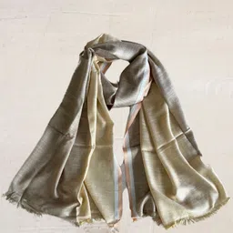 Dupatta Bazaar Women Colourblocked Stole-picture-20
