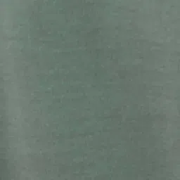 Fame Forever By Lifestyle Sage Cotton Regular Fit Hooded Sweatshirt image 5