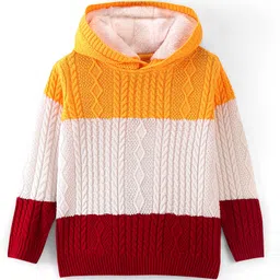 Pine Kids Knit Full Sleeves Hooded Sweater With Cable Knit Design - Multicolour-image-95