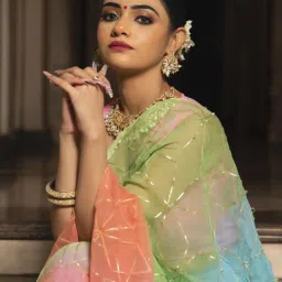 Calmna Multi-Color Multisky Gotapatti Pure Chiffon Saree image 4