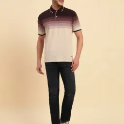 Cantabil Wine Regular Fit Colourblocked Polo T-Shirt image 5