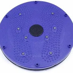 house of common tummy twister Ab Exerciser Ab Exerciser-picture-18