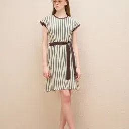 Iconic Brown Stripes Fabric Stretchable T-Shirt Dress-picture-24