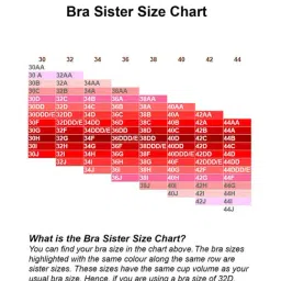 Soie Black Under Wired Padded Full Coverage T-Shirt Bra image 5