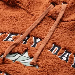 Roadster The Lifestyle Co Men Hooded Sherpa Sweatshirt image 2