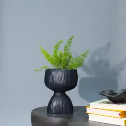 Muun Home Black Fiber-Glass Aden Organic Planter (Medium)-picture-20