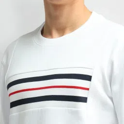 Arrow Sport White Cotton Regular Fit Striped Sweatshirt image 5
