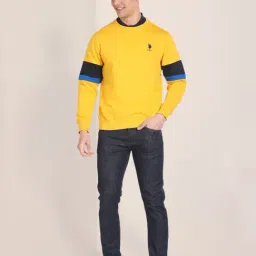 U.S. Polo Assn. Yellow Cotton Regular Fit Sweatshirt image 5