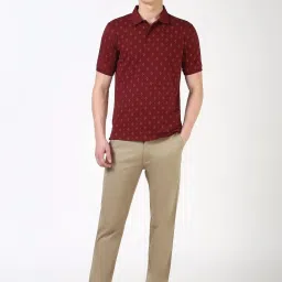 Peter England Maroon Cotton Regular Fit Printed Polo T-Shirt image 5