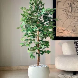 Mason Home Green Pvc Artificial Weeping Ficus Tree - 5 Feet image 5