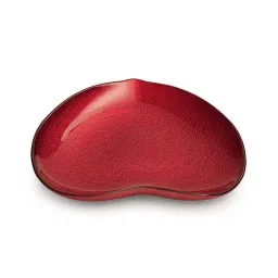 Pure Home and Living Red Glass Textured Glass Platter - Medium image 5