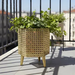 AARVI DECOR STUDIO Gold-Toned Luxe-Patterned Freestanding Hexagonal Planter-image-42