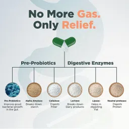 Zeroharm Gas Relief Capsule - 60Pcs image 5