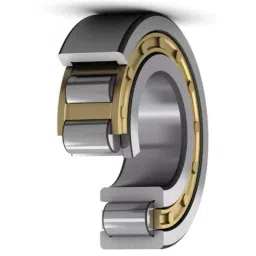 SKF Imported Single Row Cylindrical Roller Bearing, Inner Dia 30 mm, Outer Dia 55 mm, Width 13 mm, NU1006 image 2