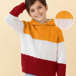 Pine Kids Knit Full Sleeves Hooded Sweater With Cable Knit Design - Multicolour-picture-11