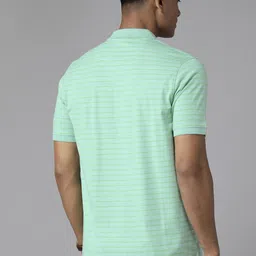 Park Avenue Men Striped Polo Collar Slim Fit T-shirt image 5