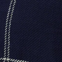 Forca By Lifestyle Navy Cotton Regular Fit Checks Shirt image 5