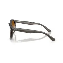Ray-Ban Essentials Brown Gradient Round Unisex Sunglasses image 5