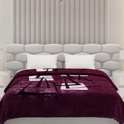 Monte Carlo Purple Polyester 600 GSM Winter Blanket-picture-45