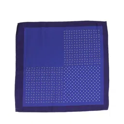 Alvaro Castagnino Blue Printed Pocket Square image 4