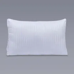 MFD HOME Furnishing Esper Premium Cotton White Polyfill Pillows - Set of 3 image 3