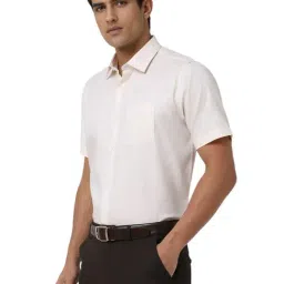 Van Heusen Beige Cotton Regular Fit Checks Shirt image 3